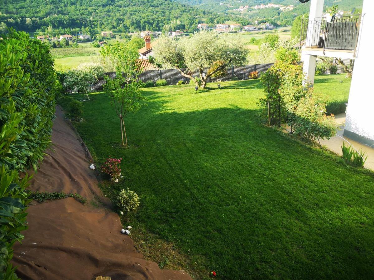 New Istrian Experience By Istrian Apartments 科佩尔 外观 照片