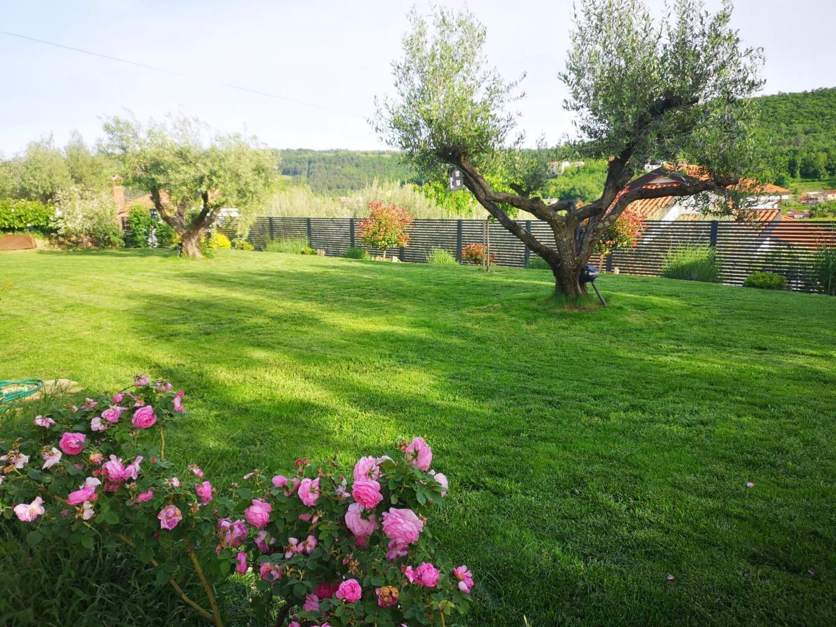 New Istrian Experience By Istrian Apartments 科佩尔 外观 照片