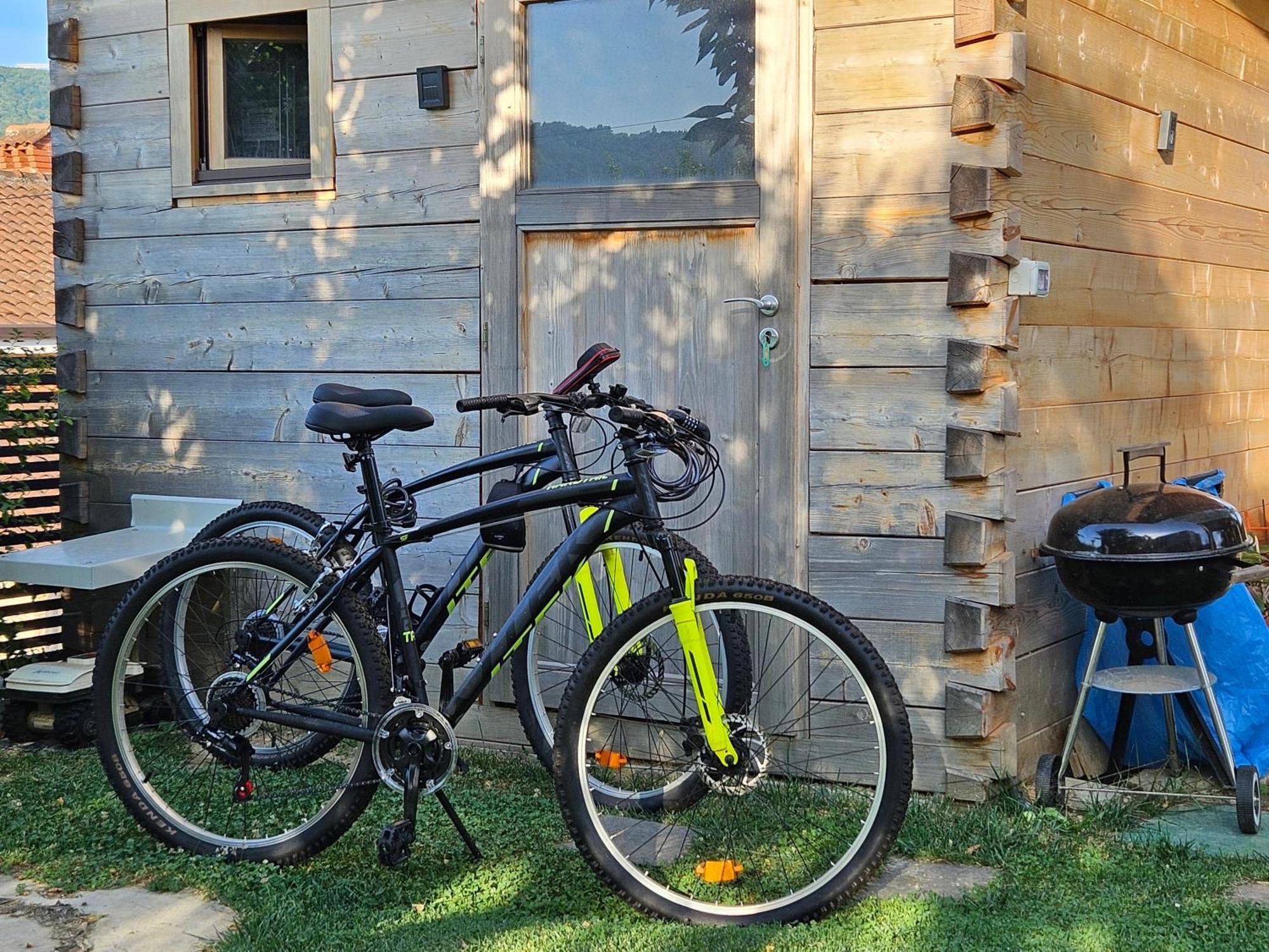 New Istrian Experience By Istrian Apartments 科佩尔 外观 照片